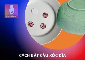 Cách bắt cầu Xóc Đĩa siêu đơn giản mà cao thủ thường dùng