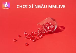 Cách chơi Xí Ngầu và mẹo chơi chiến thuật hiệu quả